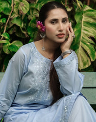 Sky Serenity – Hand Embroidered Light Blue 2-Piece Suit